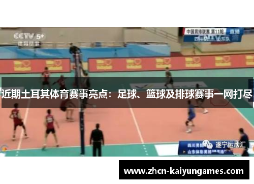 近期土耳其体育赛事亮点：足球、篮球及排球赛事一网打尽